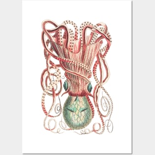 Cthulhu octopus Posters and Art